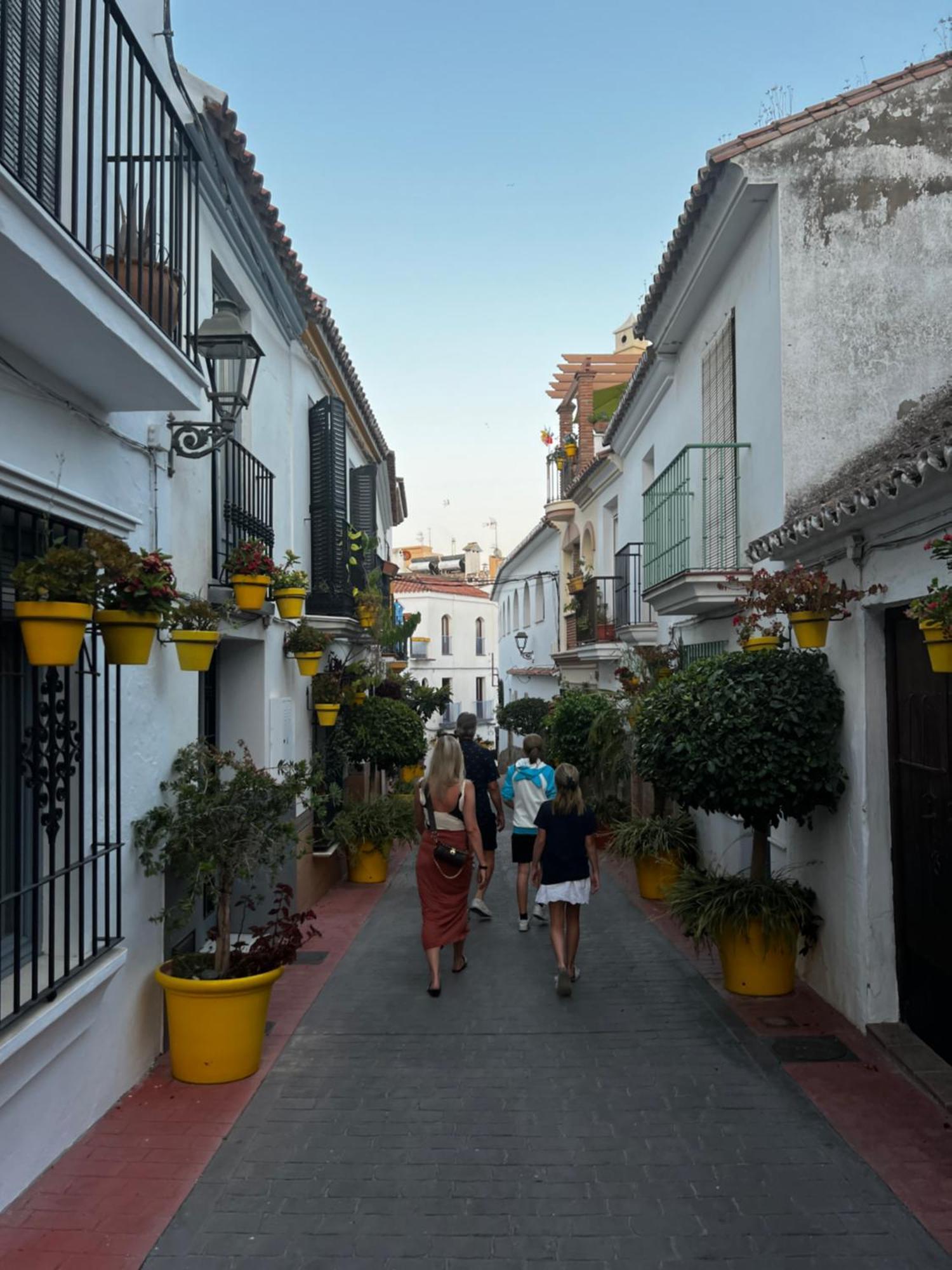 Playa Cristo Amazing Beach Terrace Appartment エステポナ エクステリア 写真